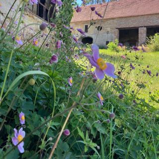 "Slovo úvodem... Kultura je mimořádně důležitou součástí lidstva, součástí tak starou, jako je lidstvo samo. Jde bezesporu...